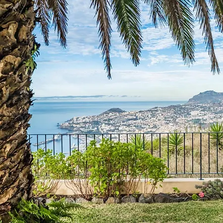 Casa Da Palmeira 别墅 丰沙尔