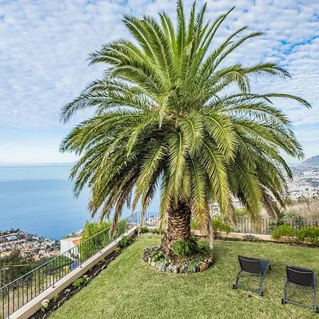 Casa Da Palmeira 别墅 *