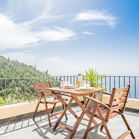 Casa Da Palmeira * 丰沙尔