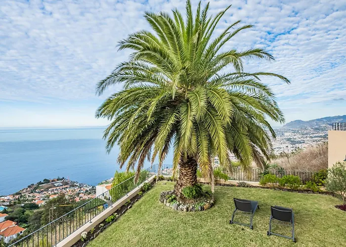 Casa Da Palmeira וילה *