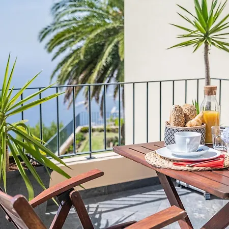 Casa Da Palmeira * Funchal (Madeira)