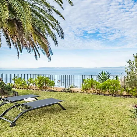 Casa Da Palmeira Villa